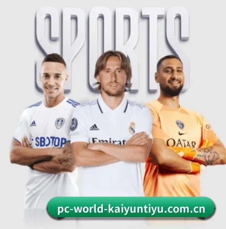 五大智库级服务分区,让资讯获取如同呼吸般自然
